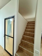 IMG_1152 Medium.jpeg